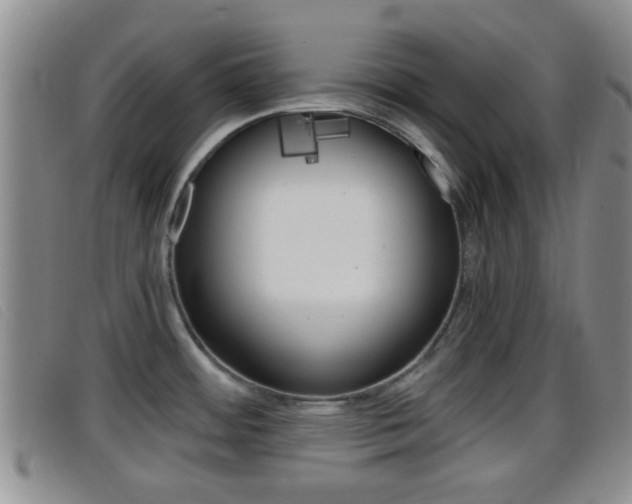 X0000096731484200802051117