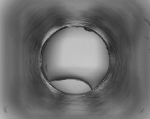 X0000096731485200802051117