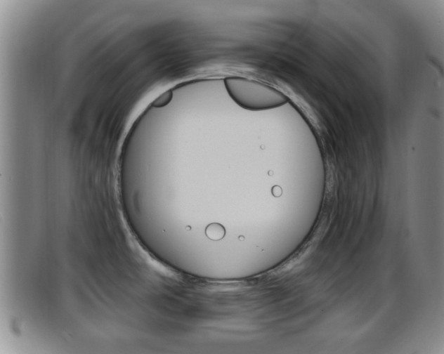 X0000096731486200802051117