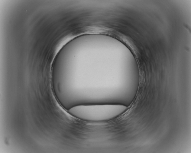 X0000096731487200802051117