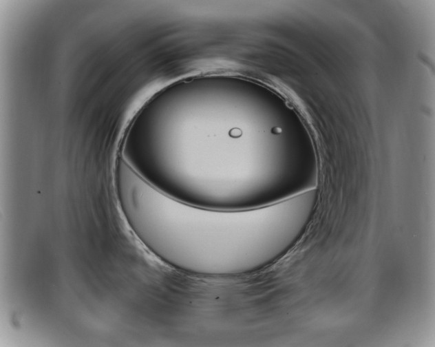 X0000096731488200802051117
