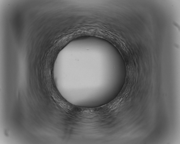X0000096731489200802051116