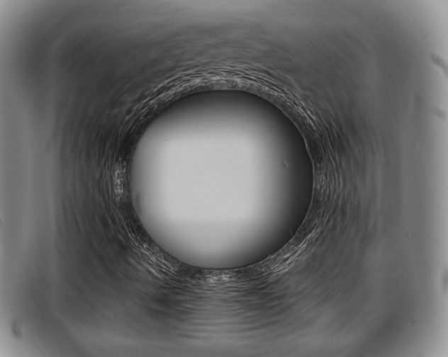 X0000096731490200802051116