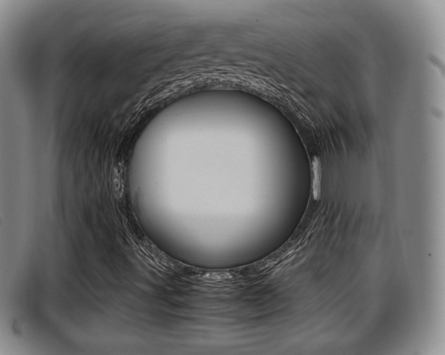 X0000096731491200802051116