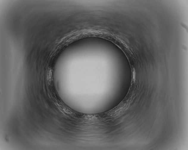 X0000096731492200802051116