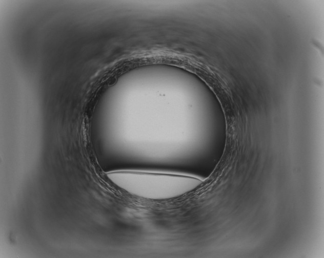 X0000096731493200802051116