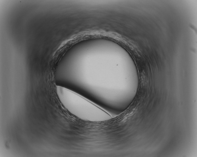 X0000096731494200802051116