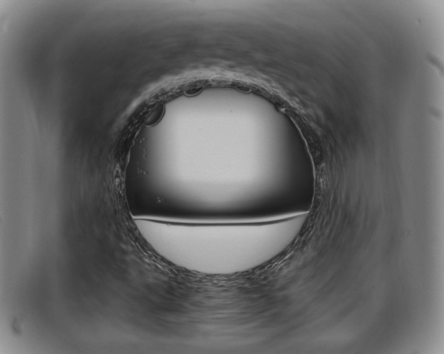 X0000096731495200802051116