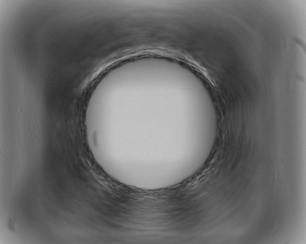 X0000096731496200802051116