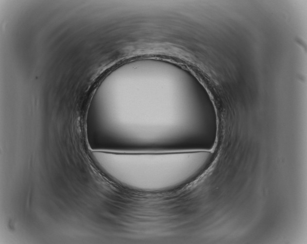 X0000096731497200802051116