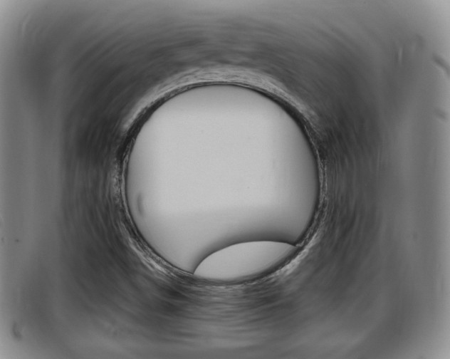 X0000096731498200802051116