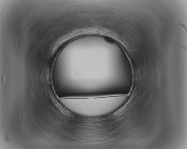 X0000096731499200802051116