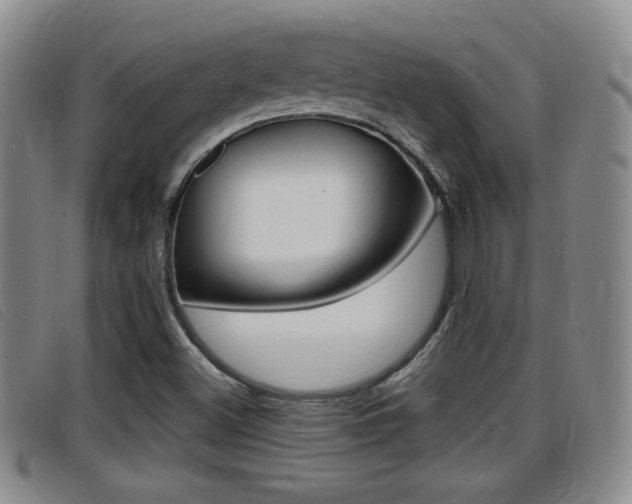 X0000096731500200802051116