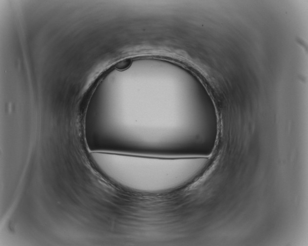 X0000096731501200802051116