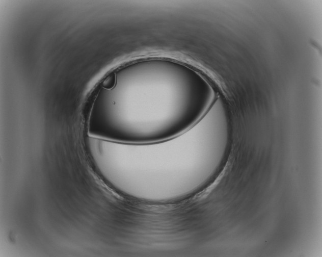 X0000096731502200802051116