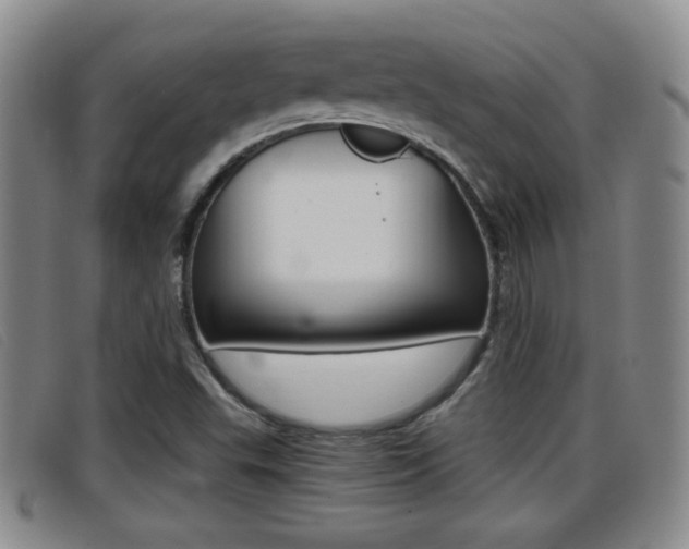 X0000096731503200802051116