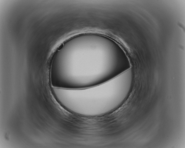 X0000096731504200802051116