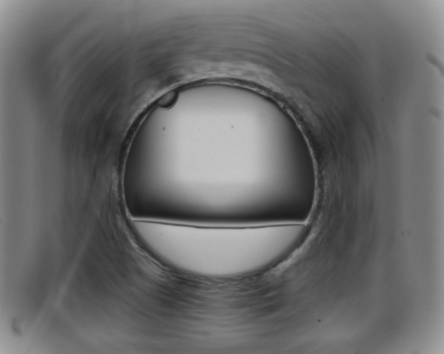 X0000096731505200802051116