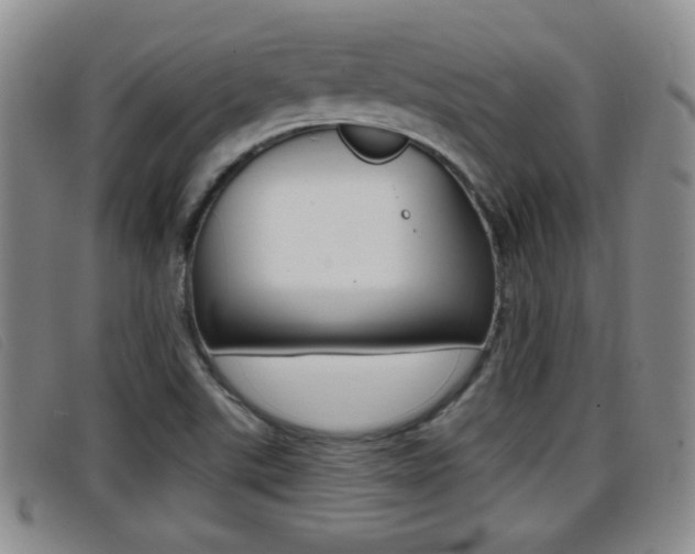 X0000096731507200802051116