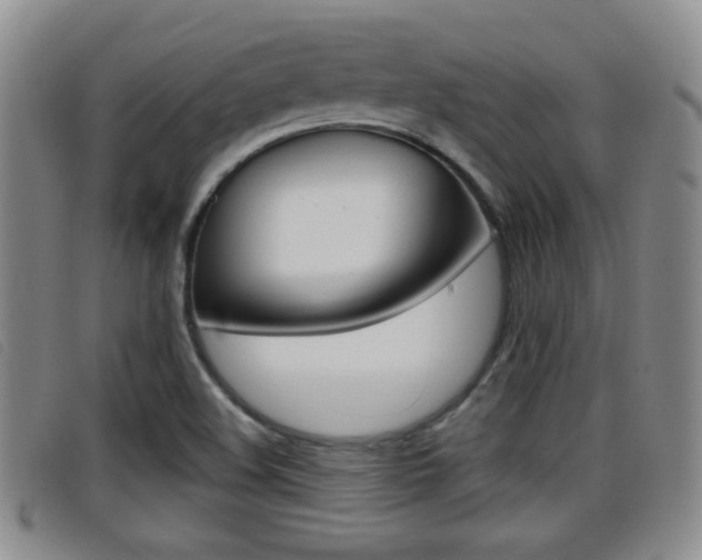 X0000096731508200802051116