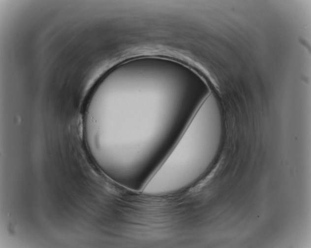 X0000096731509200802051116