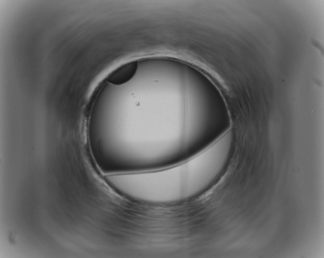 X0000096731510200802051116