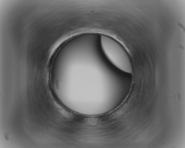 X0000096731511200802051116