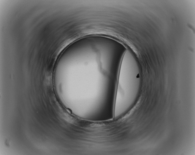 X0000096731513200802051116