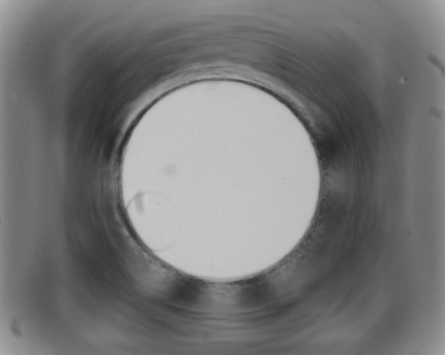 X0000096731514200802051116