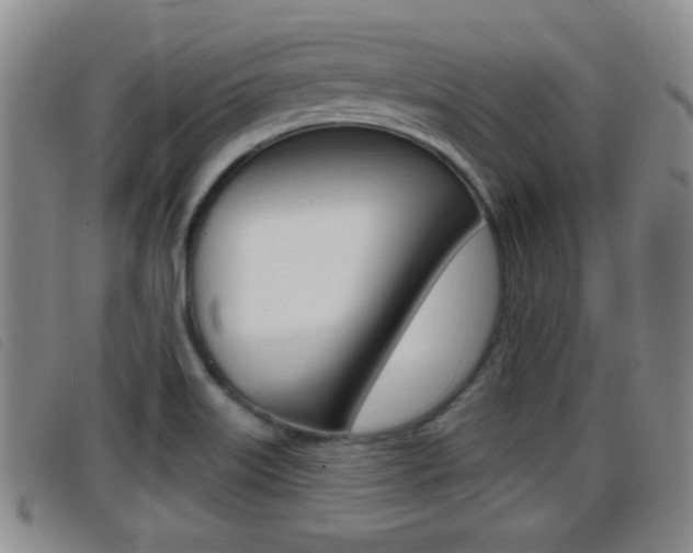 X0000096731515200802051116