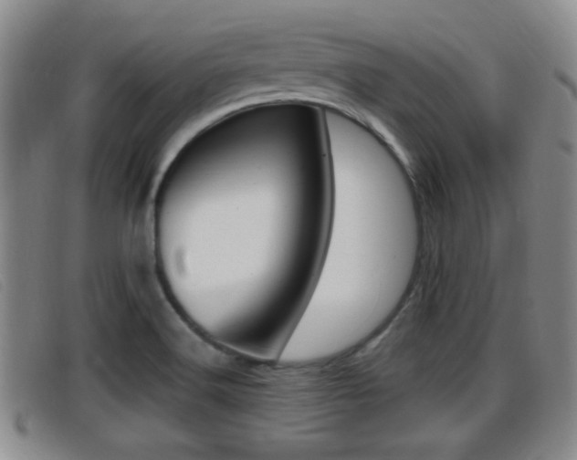 X0000096731516200802051116