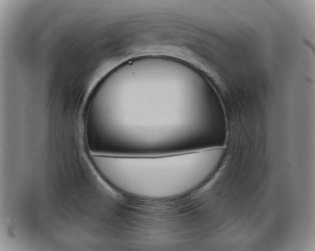 X0000096731517200802051117