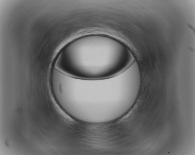 X0000096731518200802051117
