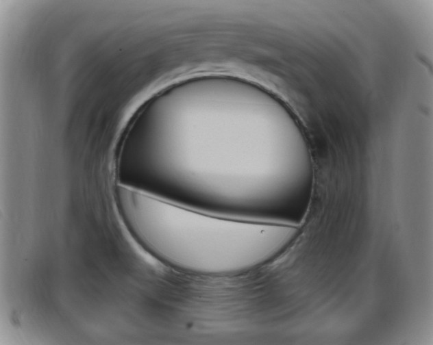 X0000096731519200802051117