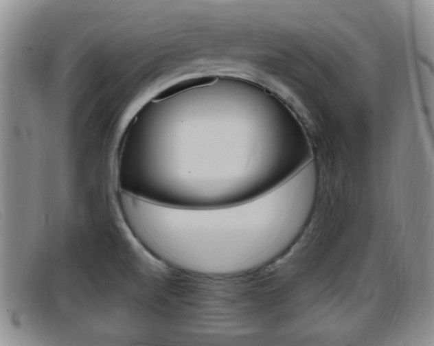 X0000096731520200802051117