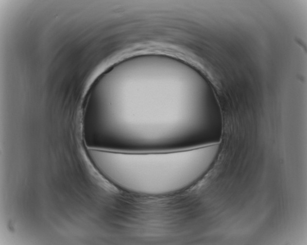X0000096731522200802051117