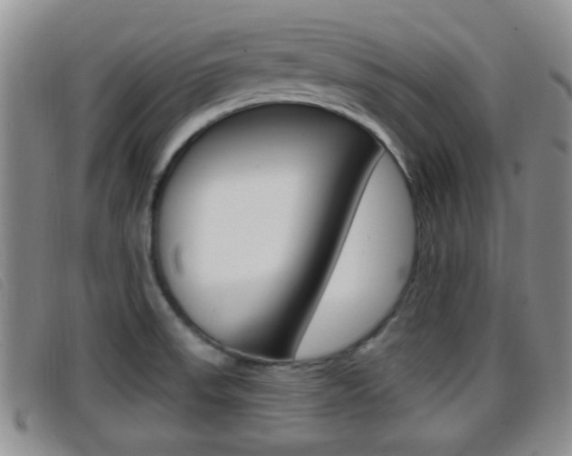 X0000096731523200802051117