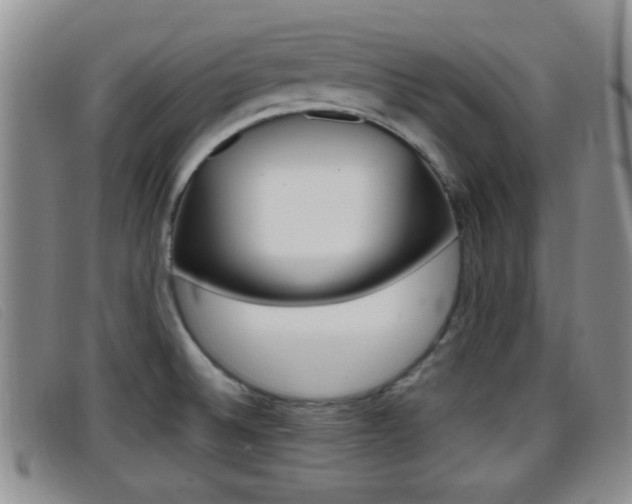 X0000096731524200802051117