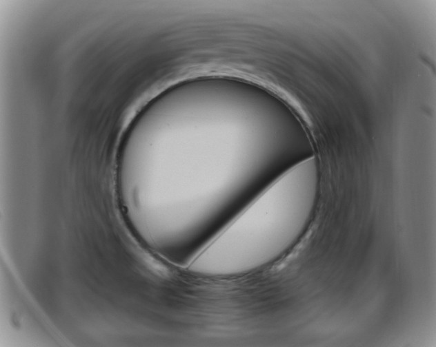 X0000096731525200802051117
