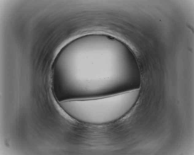 X0000096731526200802051117