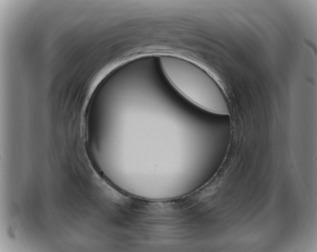 X0000096731527200802051117