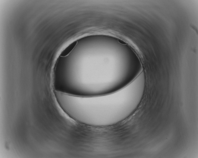 X0000096731528200802051117