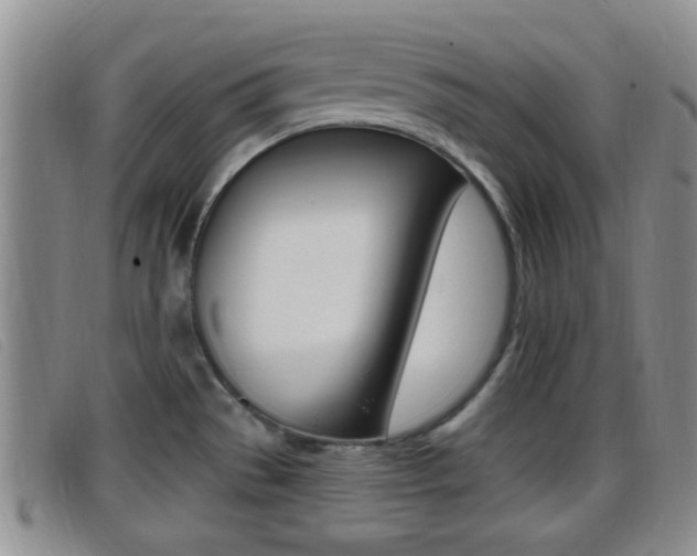 X0000096731529200802051117
