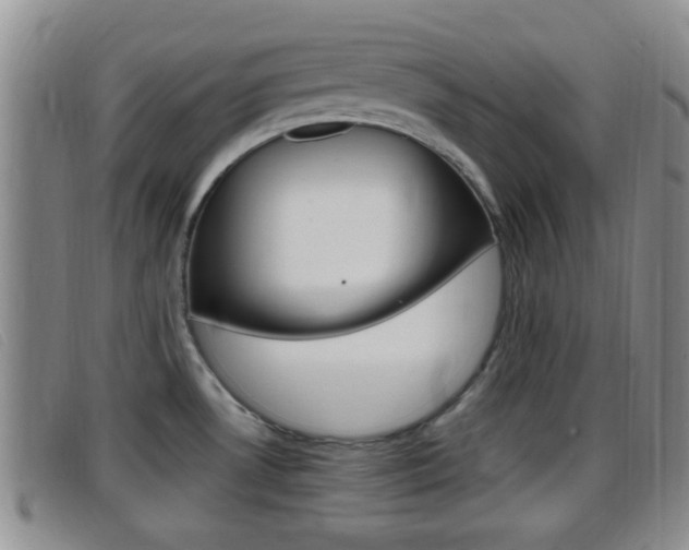 X0000096731530200802051117