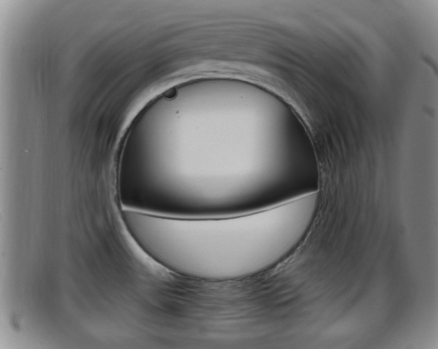 X0000096731531200802051117