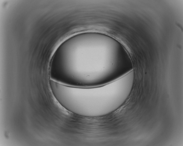 X0000096731532200802051117