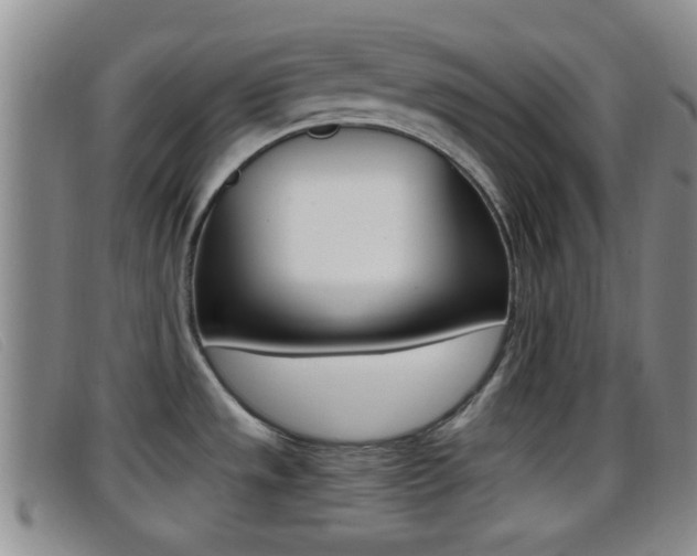X0000096731533200802051117