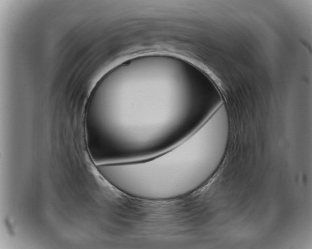 X0000096731534200802051117