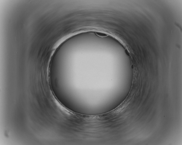 X0000096731535200802051117