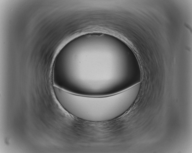 X0000096731536200802051117